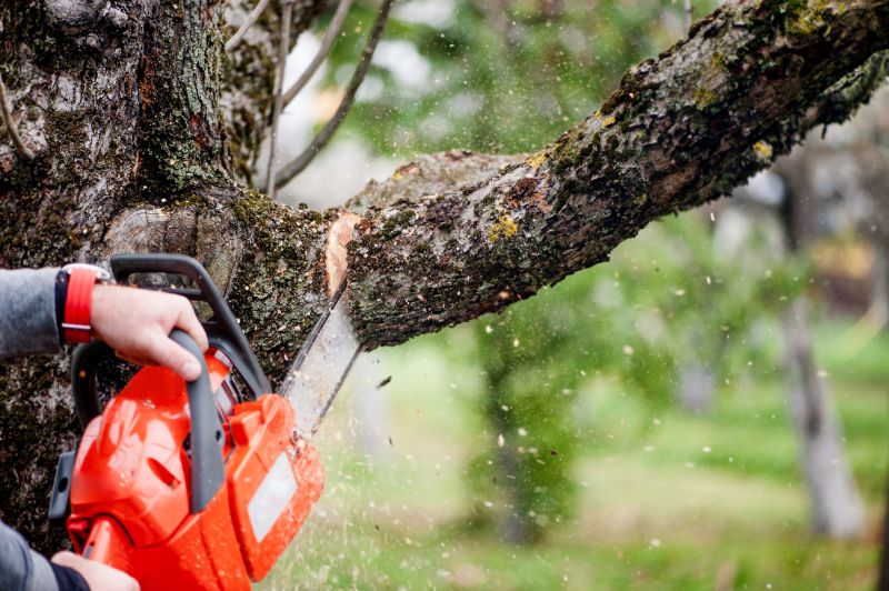 Dead Branch Removal in Pottstown, PA
