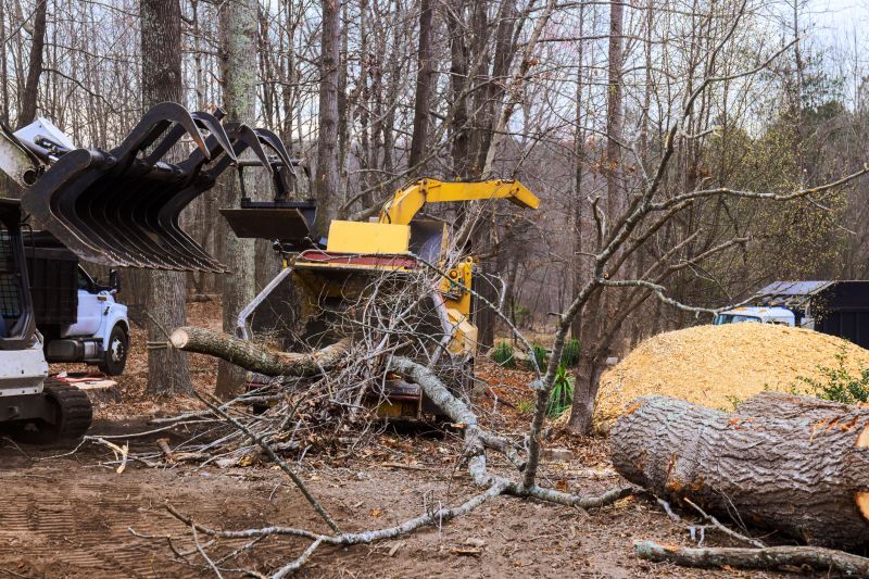 Dogwood Tree Removal in Doylestown, PA