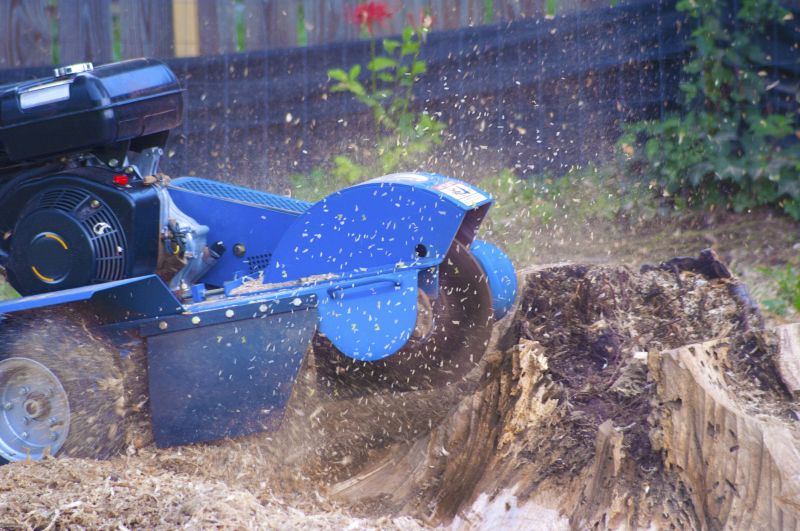 Stump Grinding Service in Calvert County, MD