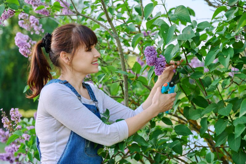 Enhances flower production.